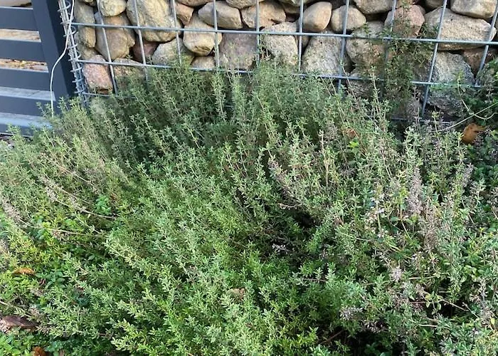 Semesterbostad By Wise Ka With Sauna Wisełka